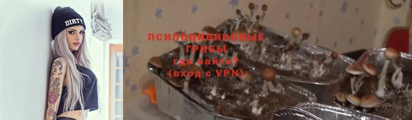 марки nbome Горняк