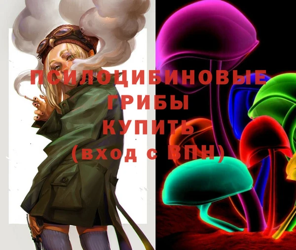 мдпв Горно-Алтайск