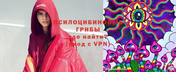 прущий лед Вязьма