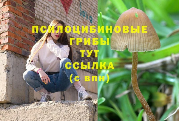 экстази Горнозаводск