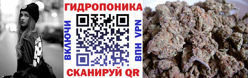 Купить закладки  Трубчевск  Канабис семена 